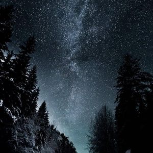 Meet your Posher, Shawn